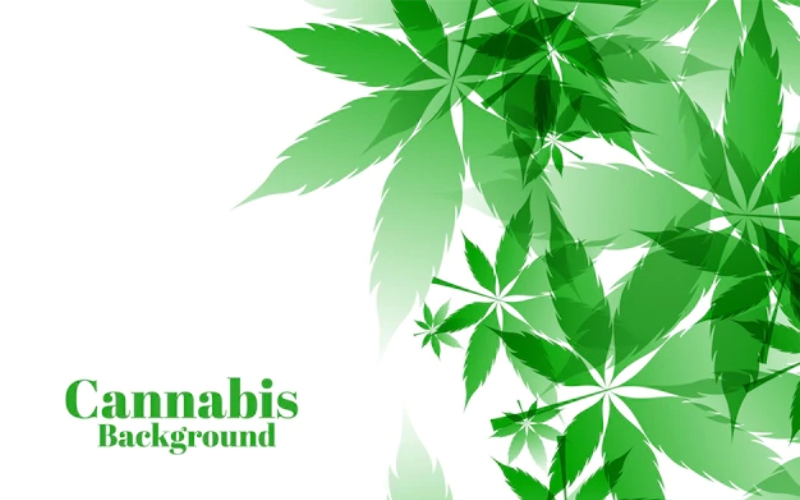 medical marijuana card virginia