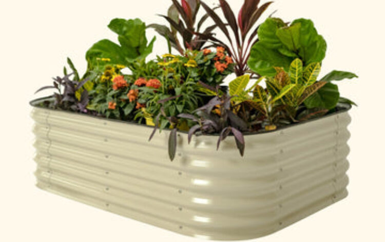 galvanized raised bed planter