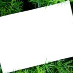 Cannabis Card Naples