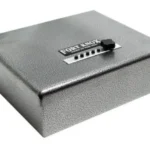 Multiple Handgun Safe