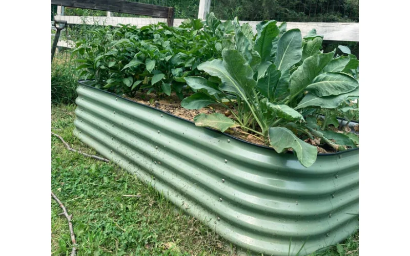 galvanized raised bed planter