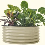 planter raised beds