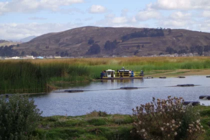 aquatic weed harvesters